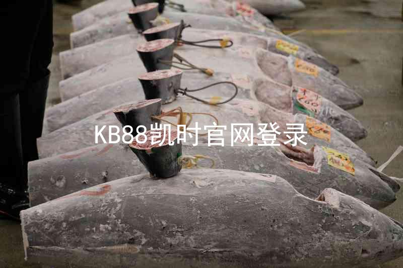 KB88凯时官网登录